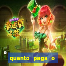 quanto paga o jungle fight